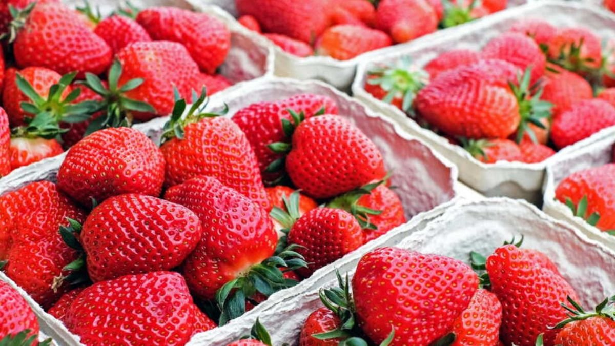 Alerte Rappel Conso : Des Fraises Contaminées aux Pesticides Retirées du Marché—Ce Que Vous Devez Savoir